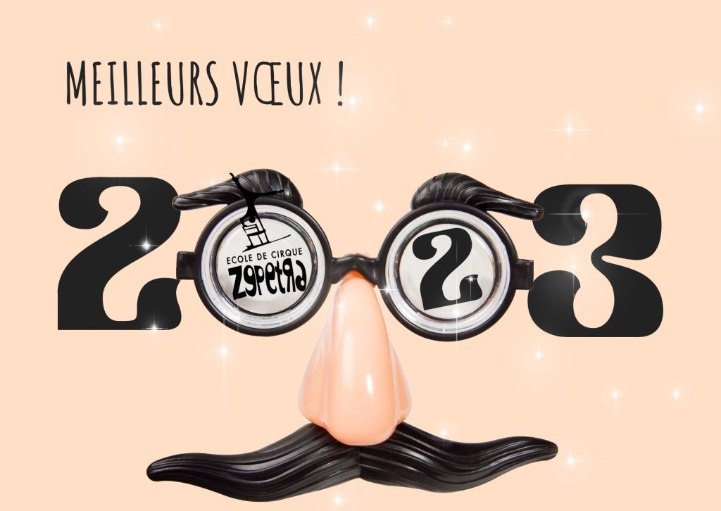 Copie De Bisque Lunettes Amusant Carte Postale